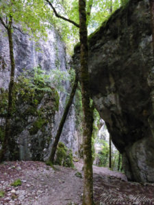 Les Gorges de Nouailles