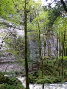 Passerelle pour enjamber la Loue