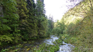 Les gorges de l'Orbe