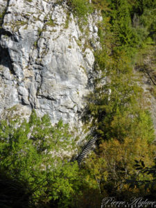 Les gorges de l'Orbe