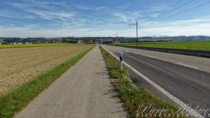 Piste cyclable vers Chavornay