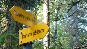 Tourisme pédestre