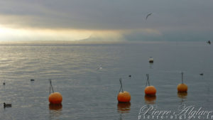 Le Lac Léman