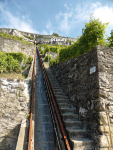 Escaliers dans les vignes