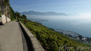 Le Lac Léman