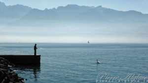 Les bords du Lac - Vevey