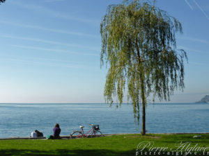 Les bords du Lac - Vevey