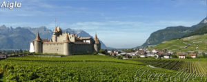 Aigle sur la via Francigena