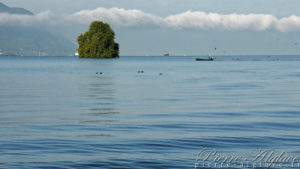 Île de Peilz au large de Villeneuve