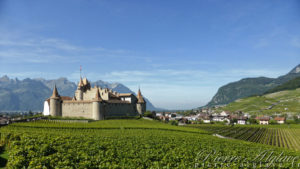 Aigle - Le Château