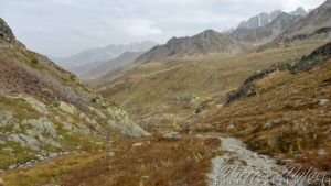 En regardant en arrière : montée de la brume