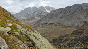 En regardant en arrière