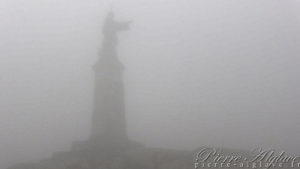 Saint-Bernard se cache dans la brume