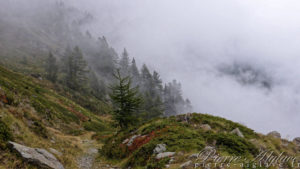 Descente dans la brume