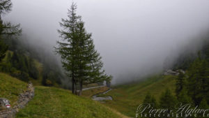 Descente dans la brume