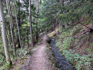 Chemin le long des canaux d'irrigation