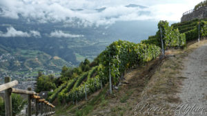 Les vignes du Val d'Aoste