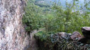 Le sentier des vignes