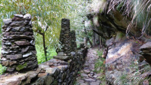 Le sentier des vignes