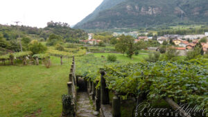 Parcours dans et sous les vignes