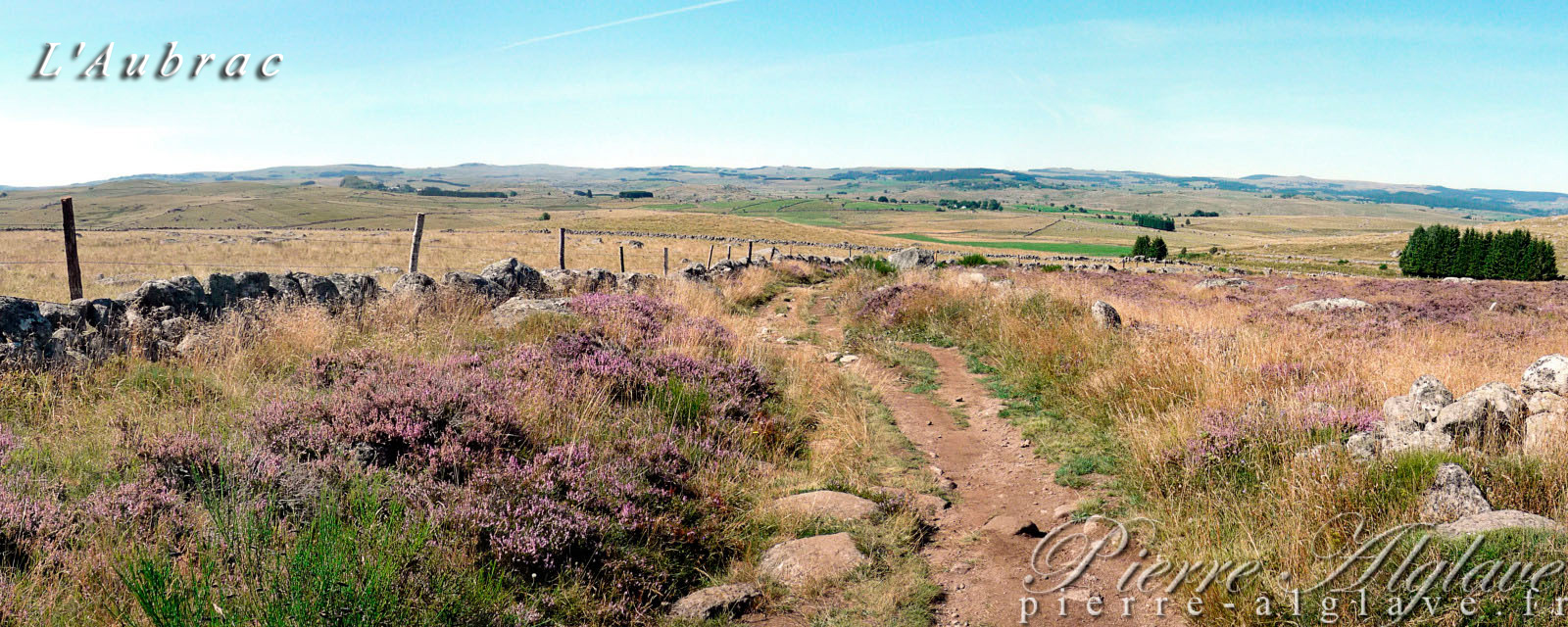 L'Aubrac