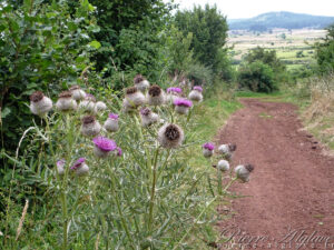 En Chemin