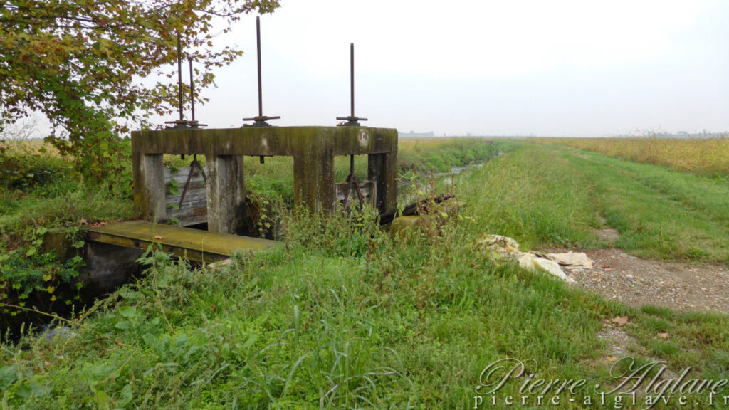 Traversée des rizières