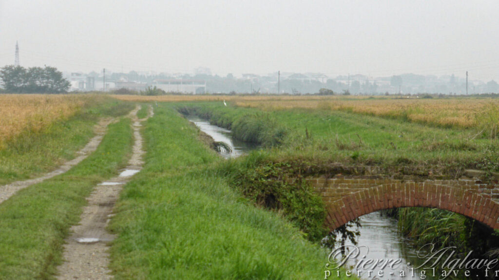 Traversée des rizières