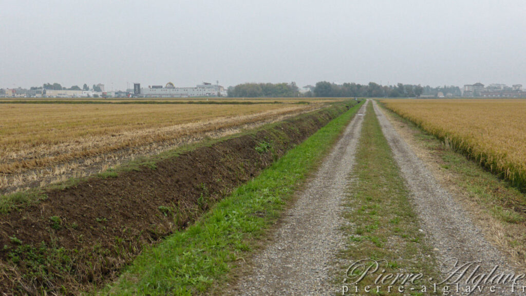 Traversée des rizières