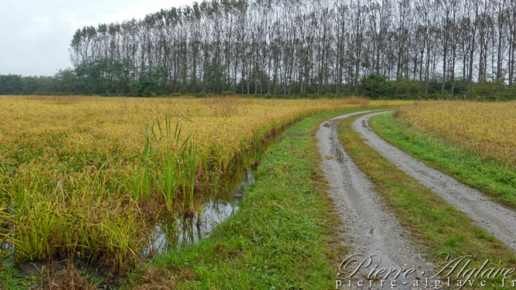 En Chemin