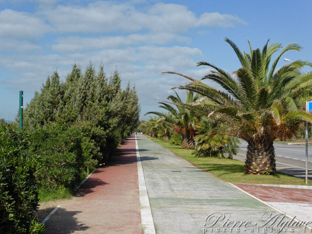 En longeant la plage