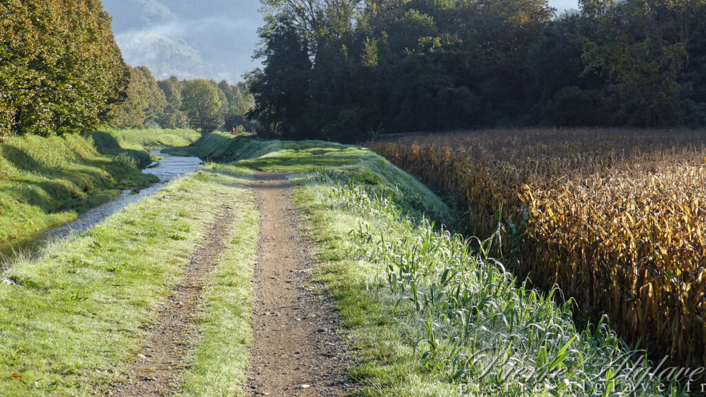 En Chemin sur la Via Francigena