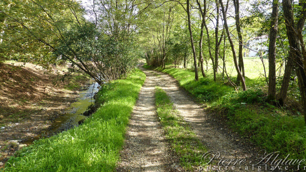 En Chemin sur la Via Francigena