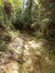En Chemin sur la Via Francigena