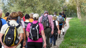 Pèlerinage vers Lucques sur la Via Francigena