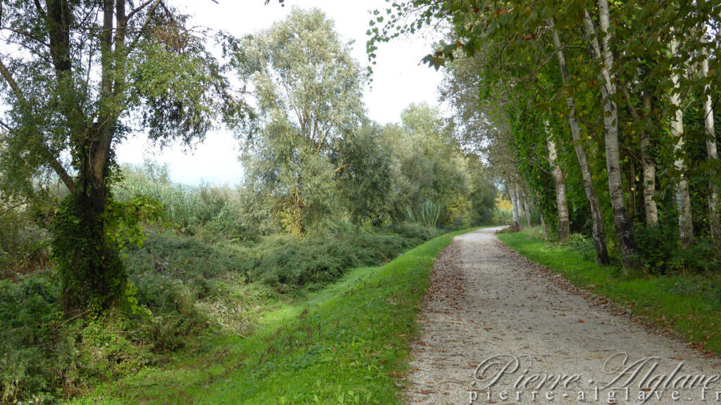 Le lond du Serchio - Via Francigena