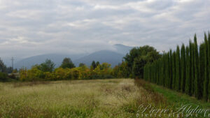 En chemin sur la Via Francigena