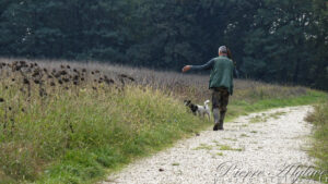 Jour de chasse sur la Via Francigena