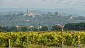 En chemin sur la Via Francigena