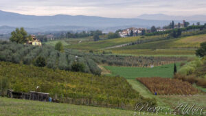 En Chemin sur la Via Francigena