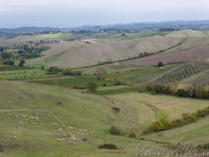 En Chemin sur la Via Francigena