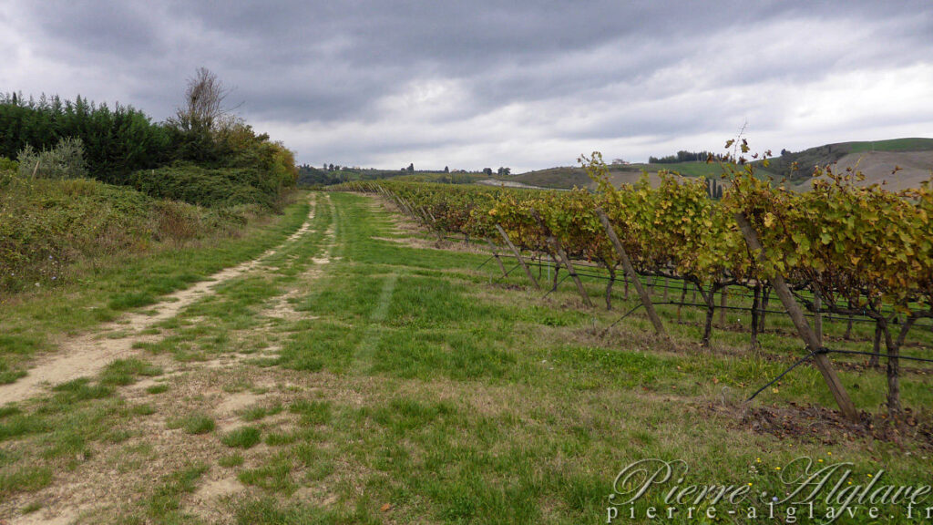 En Chemin sur la Via Francigena