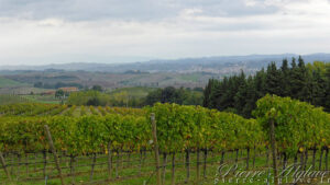 En Chemin sur la Via Francigena