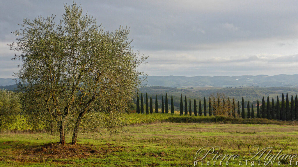 Un chemin bien agréable