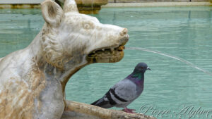 Détail d'une fontaine sur la Piazza del Campo