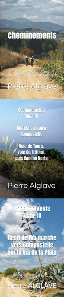 Cheminements vers Compostelle : livre des récits de mes marches jusqu'à Saint-Jacques