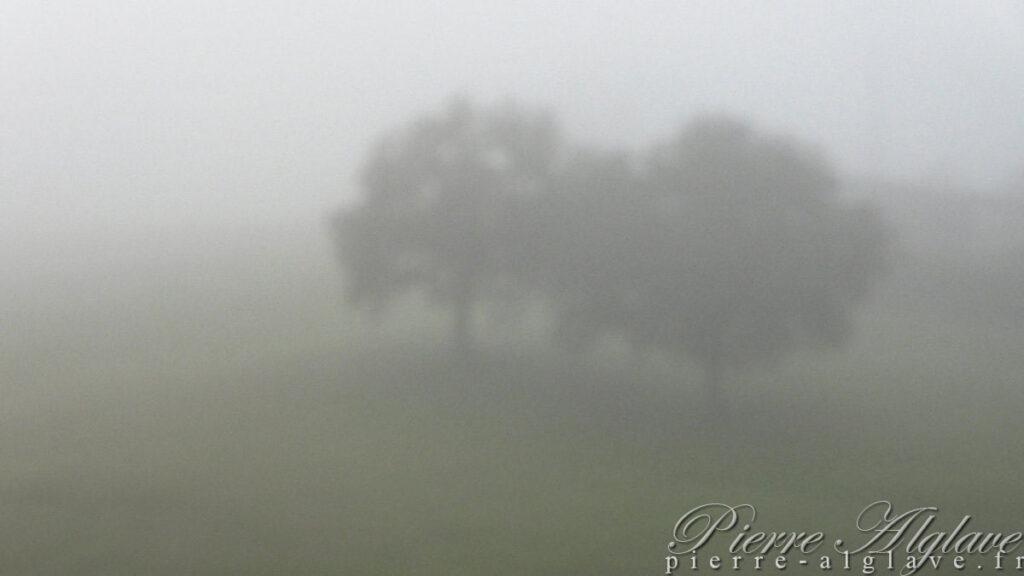 En chemin sur la Via Francigena