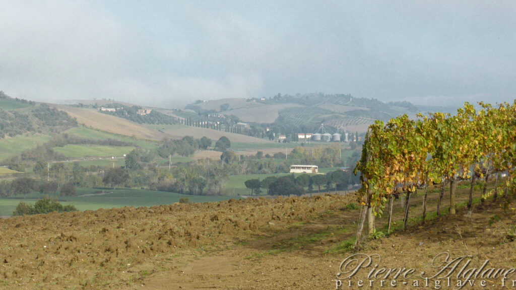 En chemin sur la Via Francigena