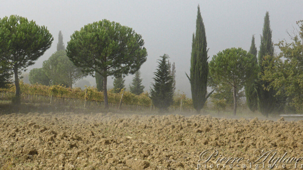 En chemin sur la Via Francigena
