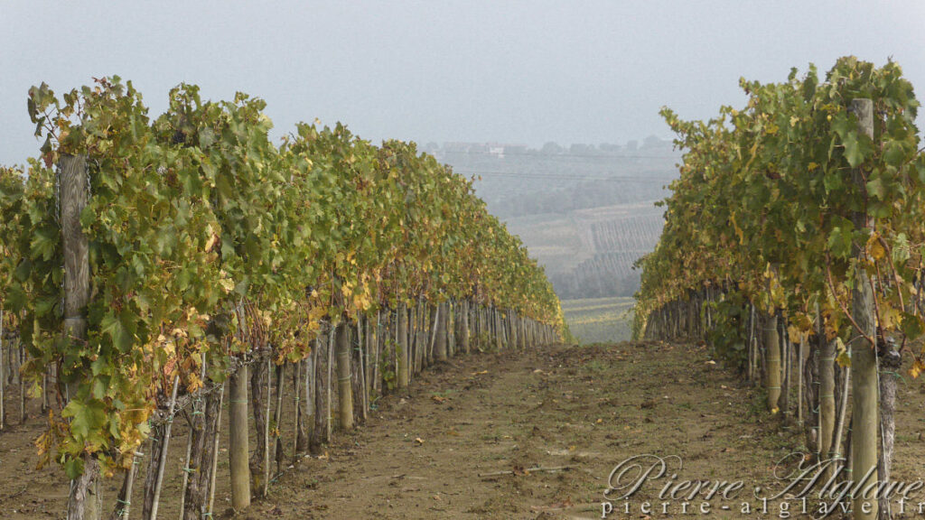 En chemin sur la Via Francigena